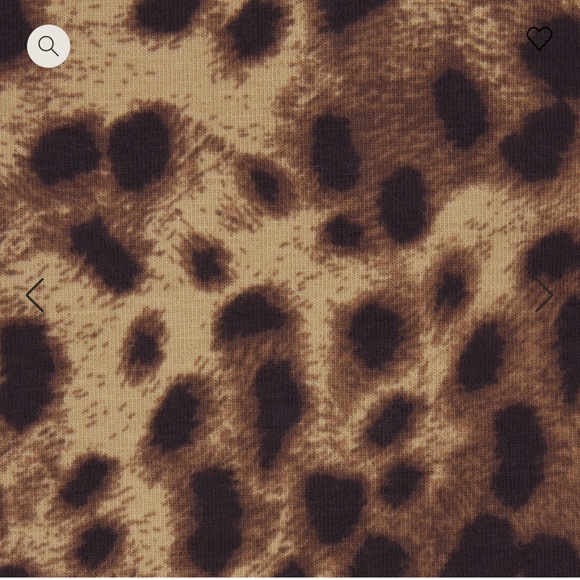 SOLD 🐆 NWT Dolce&Gabbana X SKIMS Cotton Jersey Cheeky Tanga Size M🐆 - Picture 6 of 9